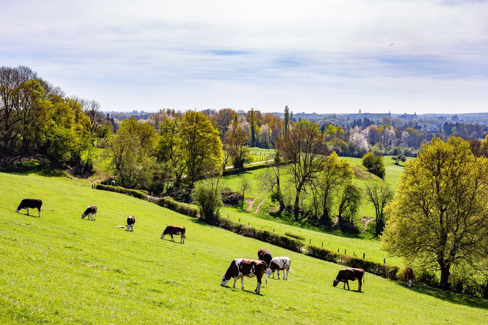 new-guidance-to-help-farmers-through-planning-process-creditoncourier
